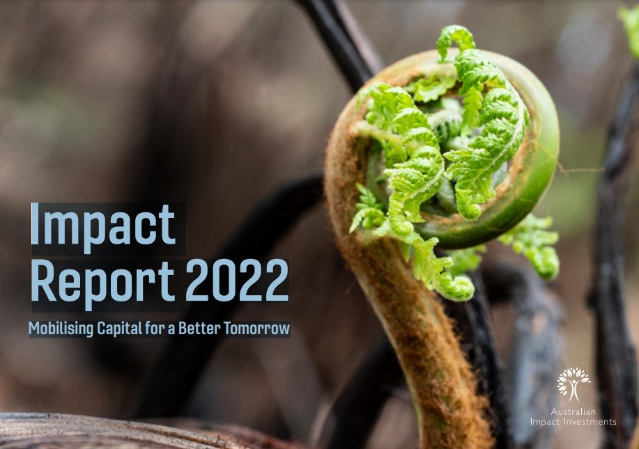 Impact Report 2022 – Mobilising Capital for a Better Tomorrow